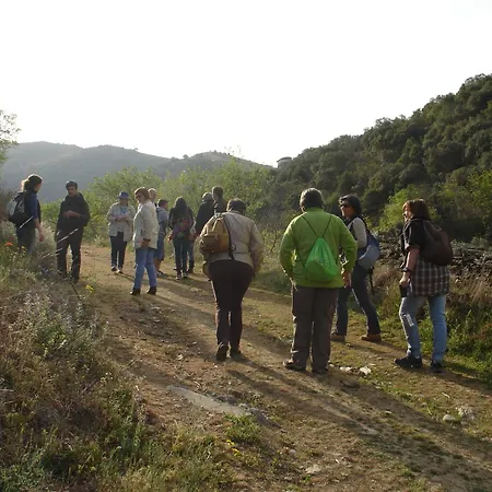 Gospodarstwo wiejskie Bairro Do Casal - Turismo D'aldeia